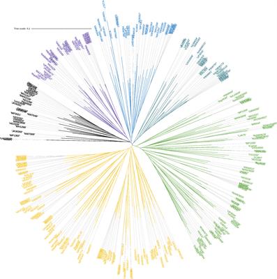 Assessment of Indian wheat germplasm for Septoria nodorum blotch and tan spot reveals new QTLs conferring resistance along with recessive alleles of Tsn1 and Snn3